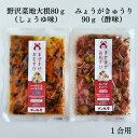 まぜまぜおむすび2個セット「野沢菜地大根×みょうがきゅうり」 木の花屋 長野県産 国産 混ぜご飯の素 1合用 漬物 ご飯のお供 おにぎりの素 お試し 誕生日プレ...