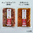 まぜまぜおむすび2個セット「みょうがきゅうり×生姜おかか」 木の花屋 長野県産 国産 混ぜご飯の素 1合用 漬物 ご飯のお供 おにぎりの素 お試し 誕生日プレゼ...