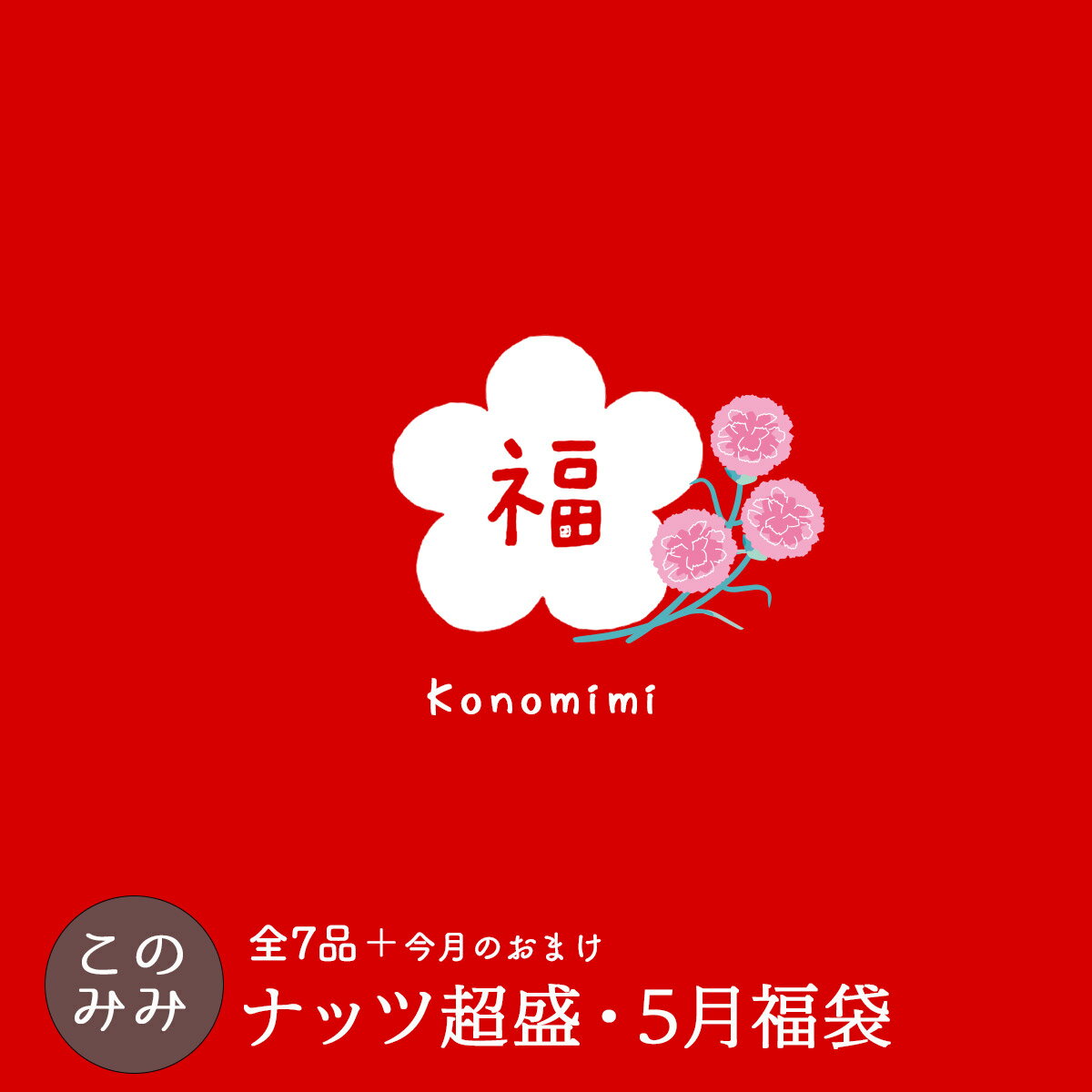 【クーポン使用で4,170円OFF 8,150円→3,980円】このみみ6月福袋 ♪　送料無料　【＊6月25日以降の発送指定不可＊他の商品と同梱不可】毎月恒例！ナッツ山盛り♪このみみみ福袋のサムネイル