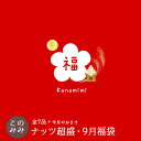 【8,290円相当のナッツが3,980円 送料無料!】このみみ9月 福袋 ♪ 【*9月25日以降の発送指定不可】毎月恒例!ナッツ山盛り♪このみみ福袋