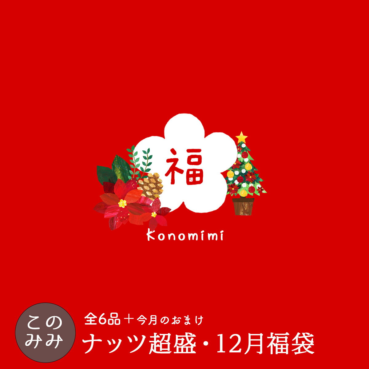 【8,590円相当のナッツが3,980円 送料無料！】このみ