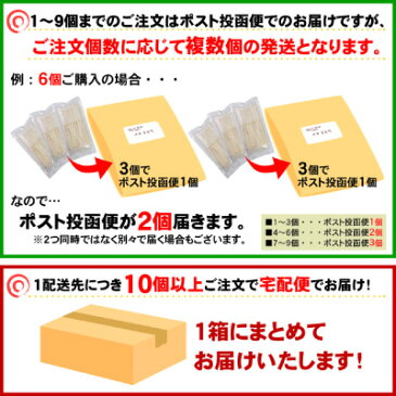 本場讃岐の包丁極細切り半生『赤じそうどん』2人前【送料無料】ポスト投函便での配送(代金引換-後払い不可・着日指定不可)