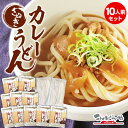さぬきカレーうどん 10人前 セット 讃岐うどん レトルト カレーうどんの素 まとめ買い セット 本格 カレーうどん お試し カレー うどん 讃岐カレーうどん 送料無料