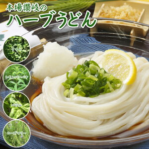 本場讃岐うどん ハーブうどん 200g 送料無料 4種のハーブ(タイム・レモンバーベナ・バジル・ローズマリー)を麺に練りこんだ本場讃岐うどん 五色台ハーブ園 ハーブ うどん 讃岐うどん ポスト投函便での配送(代引/後払/着日指定不可)【半生麺】【並麺】★