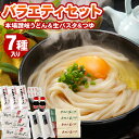 【6月上旬発送予定】 本場讃岐うどん バラエティセット 7種入り 送料無料 讃岐うどん 生パスタ 麺ロール つゆ 詰め合わせ セット うどん パスタ 食べ比べ つゆ付き 並麺 極太麺 フェットチーネ スパゲッティ 福袋 合計3kg以上