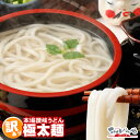 極太麺バージョン!【訳あり】半生極太讃岐うどん500g 規格外ですが味は本場さぬきうどん 合計どぉ〜んと500g しかも【送料無料】 訳あり 食品 うどん お試...