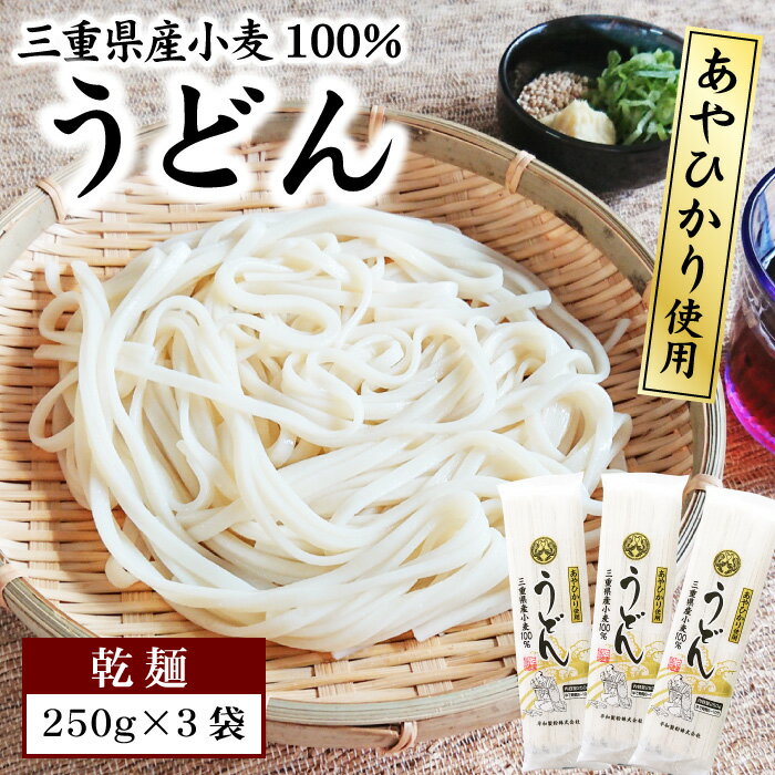 1000円ポッキリ 送料無料 うどん 乾麺 250g×3袋 セット 三重県産小麦100% あやひかり 使用 うどん 長期保存 食品 お試し ポスト投函便での配送(代金引換-後払い不可・着日指定不可)★