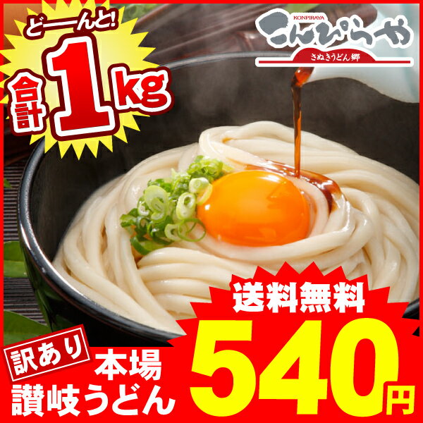 【グルメ大賞受賞】【訳あり】半生讃岐うどん 1000g【1/10〜1/17の間に出荷】規格外ですが味は本場さぬきうどん しかも送料無料どぉ〜んと合計1kg！！約10人前ポスト投函便での配送(代金引換-後払い不可・着日指定不可)【半生麺】【並麺】[sl]