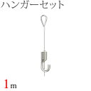 タチカワ ピクチャーレール用 ハンガーセット(1.0m) (シルバー) 1セット 【タチカワピクチャーレール追加部品】