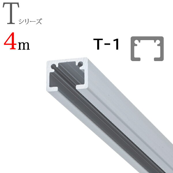 ピクチャーレール T-1（T1） 4m 正面付けセット フック2個付き ナチュラル（シルバー） TOSO トーソー