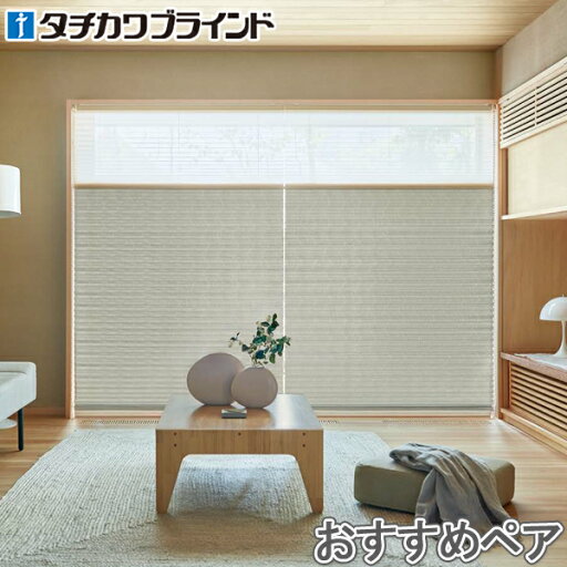 プリーツスクリーン タチカワ フィーユ おすすめペア ハンドル操作 枯山水(かれさんすい) PS3003 幅40cm〜80cm×丈101cm〜140cm プリーツスクリーン タチカワ フィーユ おすすめペア ハンドル操作 枯山水(かれさんすい) PS3003 幅40cm〜80cm×丈101cm〜140cm