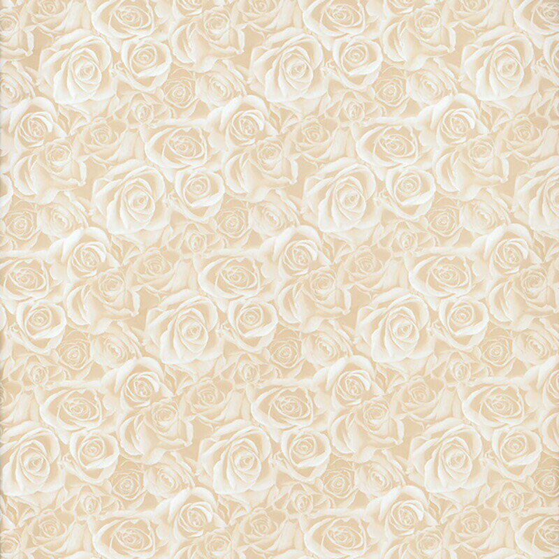 HEIKO ե Ⱦ 쥤ե ԥ 50