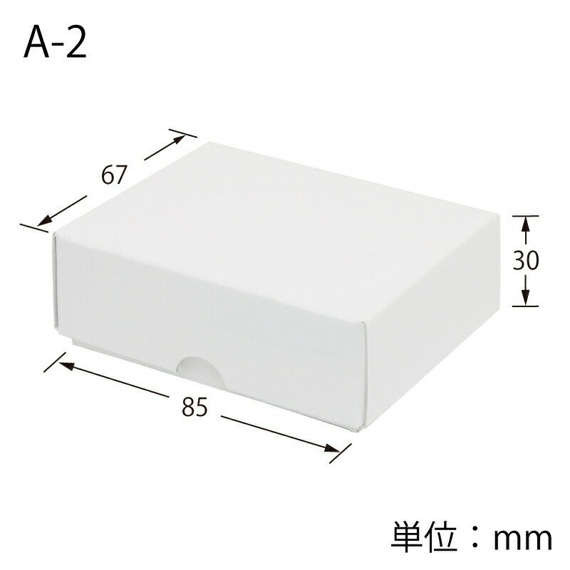 HEIKO 箱 デラックス白無地箱(エスプリ) A-2 アクセサリーL 10枚 2