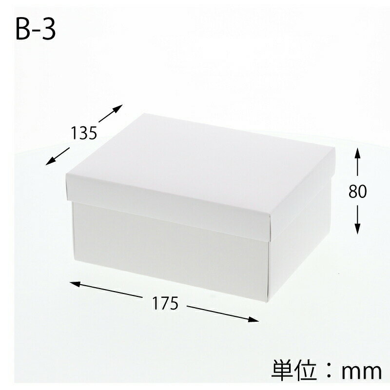 HEIKO 箱 エスプリボックス B-3 10枚 2