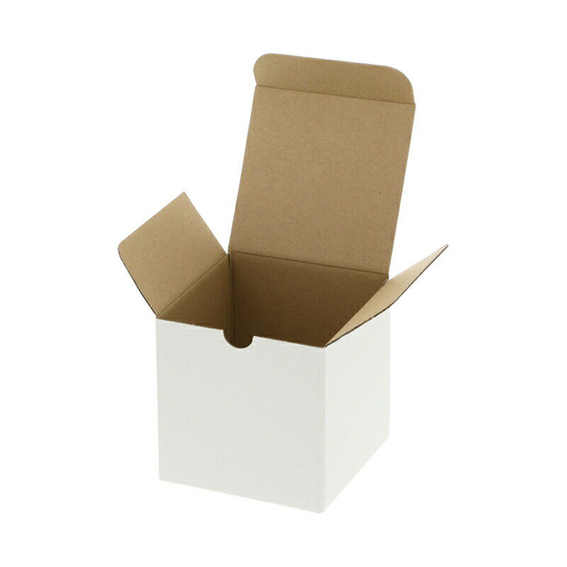 HEIKO 箱 フリーボックス F-1 10枚