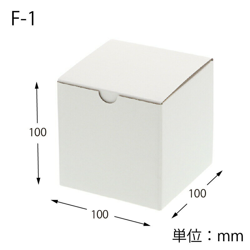 HEIKO 箱 フリーボックス F-1 10枚 2