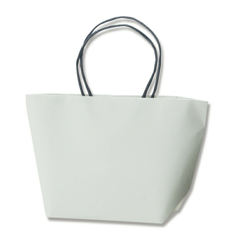 【ネコポス対応/1束まで送料270円】HEIKO 紙袋 プチバッグF9-6 白無地 10枚