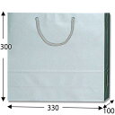 HEIKO 紙袋 ブライトバッグ GM 銀 10枚