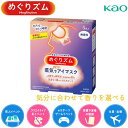 めぐりズム 蒸気でホットアイマスク 5枚 花王 送料無料 まとめ買い kao