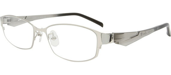取り寄せ品 ブランドフレーム アミパリジェイスピリット JS-6010-2-54 シルバー