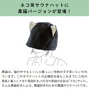 kontex-towelgarden:10001164のサンプル画像3