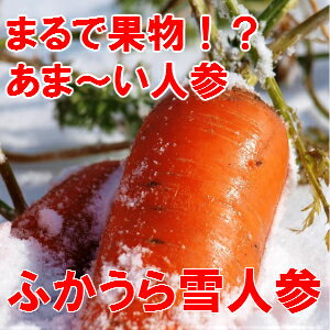 サンプル画像3