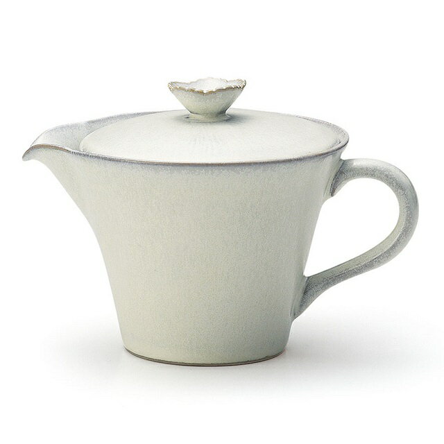 アイト— 瀬戸焼 日本製茶こし付きポット ティーポット シンプル 紅茶 緑茶 和洋兼用 瀬戸焼
