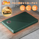 ペット用 ホットカーペット USB 給電式 あったか 洗える 防水 ペット ヒーター ペット用ヒーター 犬 猫 破断防止 噛みつき防止 寒さ対策 安全設計 暖房器具 電熱マット ホットカーペット 猫用 冬用 マット 中小型動物対応