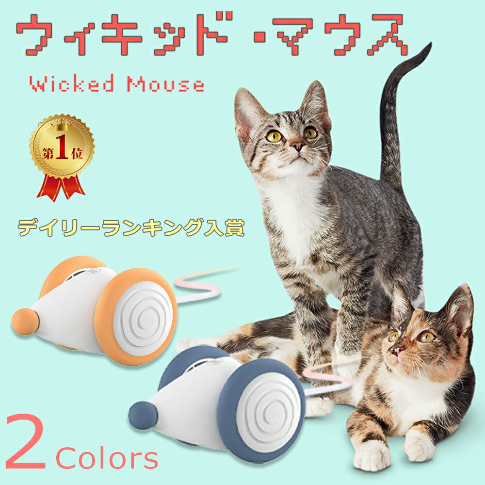 【楽天1位！】即納 猫ちゃんのイタ