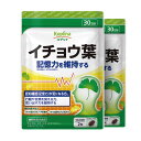 記憶を維持する イチョウ葉 60粒 2個セット60日分[機能性表示食品:届出番号G9] 【ソフトカプセル/フラボノイド配糖体/テルペンラクトン/冴え/集中/健康/サプリ/サプリメント/栄養補助食品/安心国内製造/コプリナ】