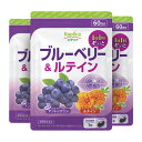 ブルーベリー&ルテイン 60粒 3袋セット180日分【ソフトカプセル 1日1粒 高濃度 北欧産ビルベリー アントシアニン ルテイン 健康 サプリ サプリメント 栄養補助食品 安心国内製造 コプリナ 送料無料】