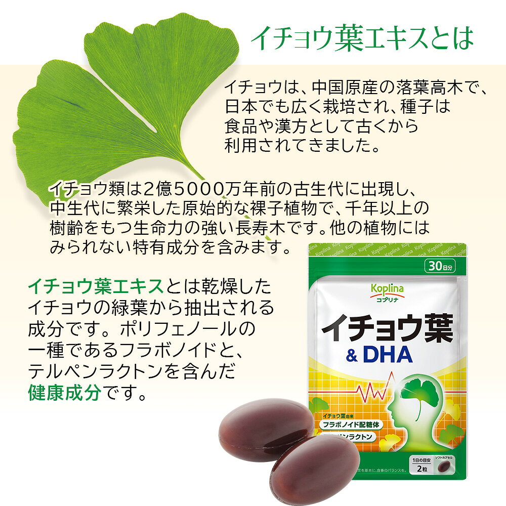 イチョウ葉＆DHA 60粒 30日分 2個セット【ソフトカプセル フラボノイド配糖体 テルペンラクトン 冴え 集中 健康 サプリ サプリメント 栄養補助食品 安心国内製造 コプリナ】 koplina-10000205 コプリナ楽天市場店 サンプル画像3