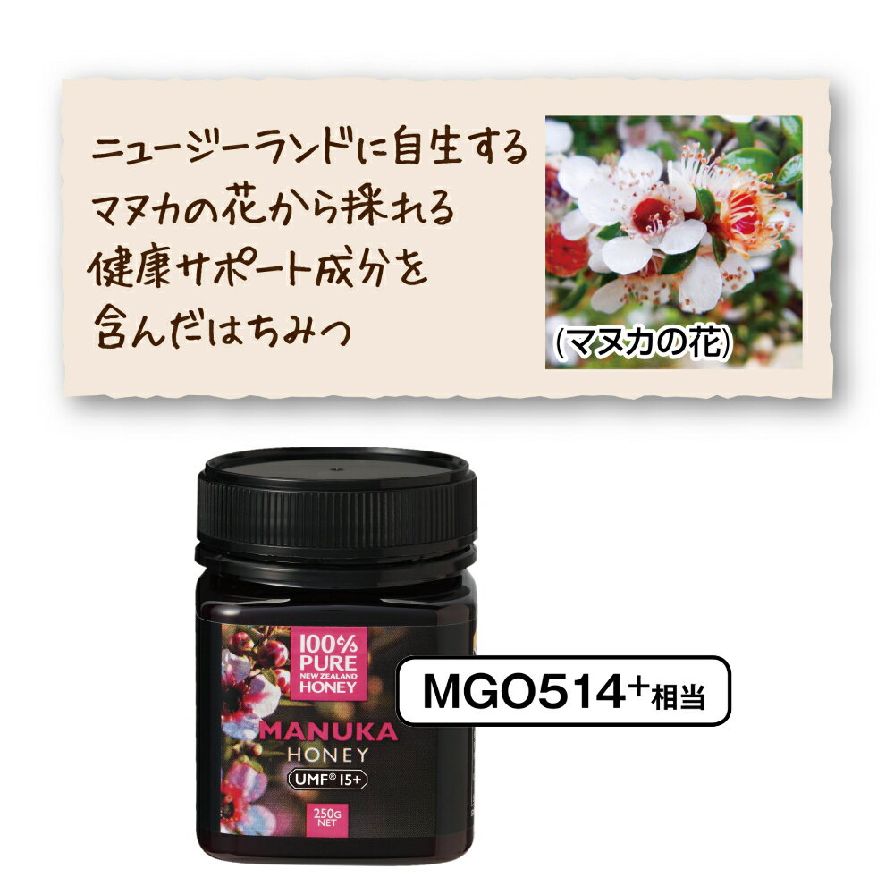 100%PURE NEWZEALAND HONEY MANUKA UMF15+ (MGO514mg/kg)マヌカハニー 250g 12個セット/ケース売り【はちみつ/ニュージーランド産/直輸入品/抗菌物質/保存料不使用/健康食品/マグナス/送料無料】 3