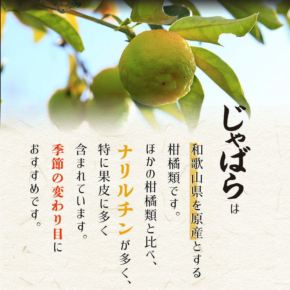 じゃばらの粒 60粒 3袋セット90日分【小粒タブレット 和歌山県産 季節の変わり目に 健康 サプリ サプリメント 栄養補助食品 安心国内製造 コプリナ 送料無料】 koplina-10000350 コプリナ楽天市場店 サンプル画像3