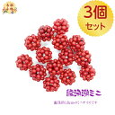 編珊瑚 珊瑚パーツ 3個セット|サンゴ 赤 球 パーツ ミニサイズ アクセサリー ペンダントトップ ネックレスパーツ チャームパーツ 手作り 手芸 ハンドメイド(4)