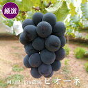 厳選 ニューピオーネ 2kg 入り 3 - 5房 岡山県産 ぶどう 葡萄 ギフト 贈り物 プレゼント お届け 9月下旬 - 10月初旬予定
