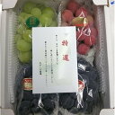 特選 アソートBOX 3種類以上 岡山県産 ぶどう 葡萄 種なし 旬のぶどうとシャインマスカットまたは瀬戸ジャイアンツのどちらか入り 9月下旬から10月初旬ごろ 贈り物