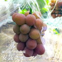 【予約商品】安芸クィーン 2kg 3 - 4房入り 岡山県産 ぶどう 葡萄 種なし 9月末 - 10月初旬ごろお届け プレゼント 贈り物