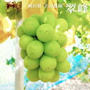 翠峰 2kg 3 - 4房入り ぶどう 産地直送 岡山県産 9月中旬頃発送予定