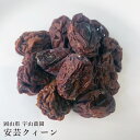 無添加 岡山県産 安芸クイーン 干しぶどう 50g 高級 無糖 レーズン 干し葡萄 ブドウ ノンオイル ドライフルーツ