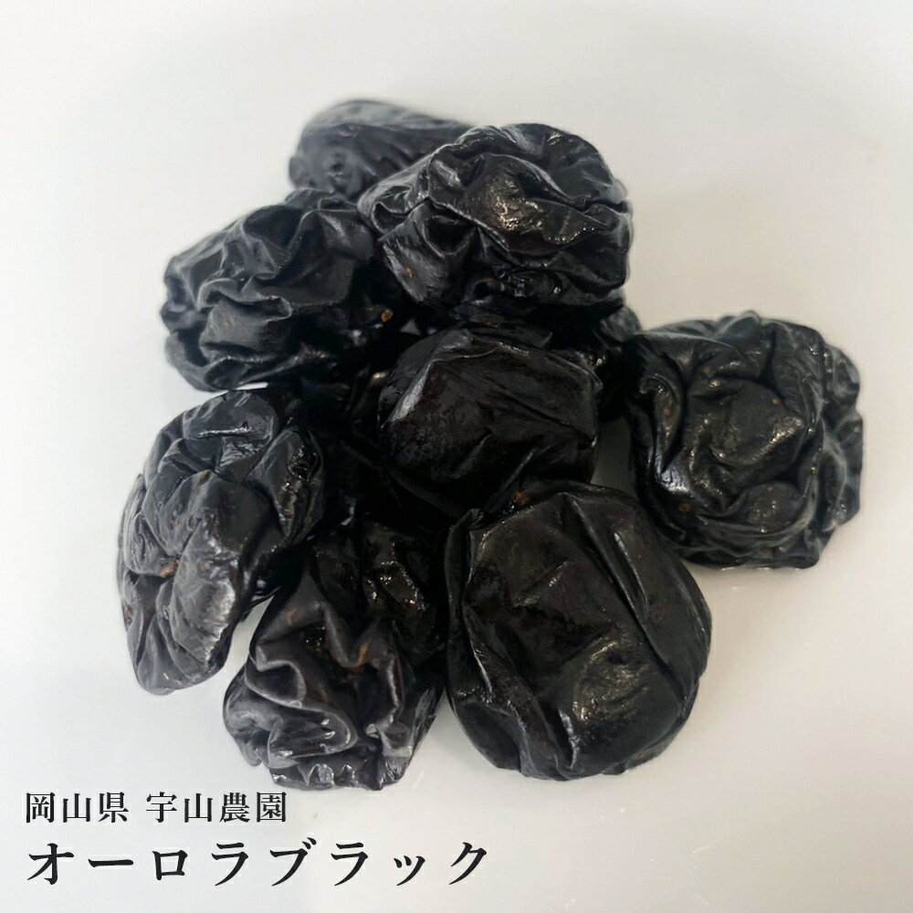 無添加 岡山県産 オーロラブラック 干しぶどう 50g 高級 無糖 レーズン 干し葡萄 ブドウ ノンオイル ドライフルーツ