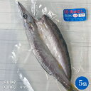 浜村海産 天日ぼし カマス 5袋 脂ののった 干物 ひもの おいしい 肴 おつまみ 冷凍