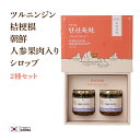 18-04 シンノン食品 Shin Nong Food ShinNongFood ツルニンジン 桔梗根 朝鮮人参果実入りシロップ 250g 二種セット 2種 サ...