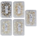 167-04 パミ農園 K-FOOD加平松の水あめ5種セット 600g 松の水あめ 松の実お菓子 豆菓子 生姜菓子 ココナッツ菓子 スナック おやつ 合格祈願 プレゼント 夜食 おつまみ 健康おやつ 香ばしい ウコン 韓国伝統食品 マガモク 伝統製法 砂糖不使用