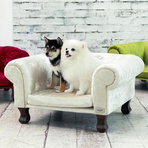 8-02 ニュートバリュー Mong’s Day プレミアムベルベットソファ 3色展開 アイボリー レッド グリーン ペット用品 愛犬 愛猫 小型犬 中型犬 ペ...