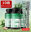 ＼ポイント10倍 ~5/2 11時まで！／3ヶ月分【緑茶カテキン500mg】激やせ 強力 ダイエットサプリ ダイエット 海外 緑茶 サプリ お腹周り ダイエットサプリ カテキン減脂 体重 韓国コスメ 韓国 ダイエットサプリ 韓国 ダイエットサプリ 韓国ダイエット