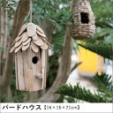 バードハウス 鳥の巣箱 巣箱 鳥の巣 野鳥 観察 鳥小屋 インテリア おしゃれ 鳥かご グリーン 木 ハンギング ガーデニング オーナメント 雑貨 かわいい 庭 完成品 ガーデン雑貨 ガーデン 園芸 園芸用品 木製 自由研究 鳥 屋外 ガーデニング用品 オブジェ インテリア雑貨