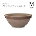【店内全品ポイント2倍!更に8/15は5のつく日!ポイント4倍】ガーデンポット 同サイズ2個セット | プランター セット 植物 庭 鉢植え 屋外 おしゃれ ガーデン 植木鉢 ガーデニング ポット 陶器プランツギャザリング ブリコラージュフラワー 寄せ植え 鉢
