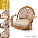 【7/30限定!店内全品ポイント2倍!更にお得なクーポン有】籐チェア用 織り 座面クッション 単品 | 座面クッション 座面 クッション 取外し 上質 織り生地...