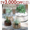 【最大3000円OFFクーポン※お買い物マラソン】シリンダー&ソーサー Φ12.5×11cm | シリンダー 植木鉢 鉢 鉢植え ポット ガーデニング よせ植え...